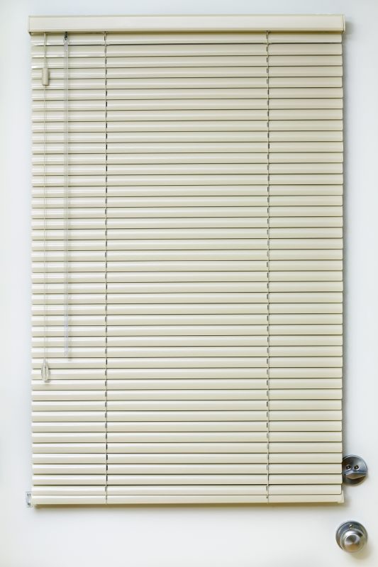 Roman Shade Hanging in Denver County, CO